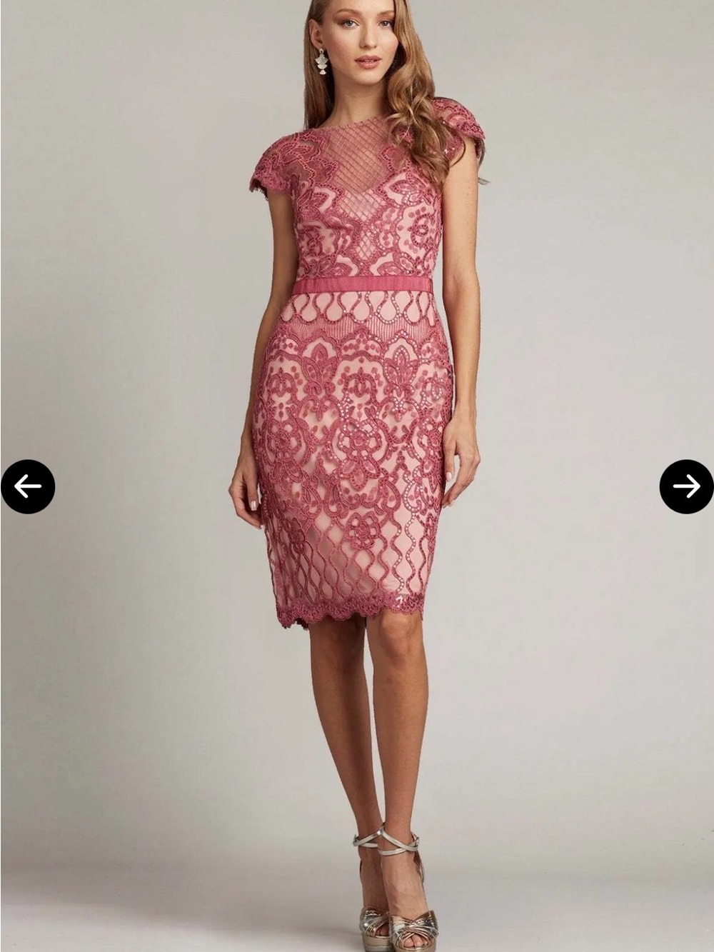 NWT Tadashi Shoji | Miranda Sequin Embroidered Cocktail Dress, Antique Pink, 6